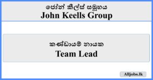 Team Lead - John Keells Group