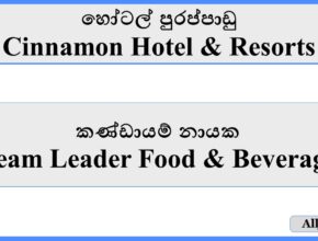 Team Leader Food & Beverage