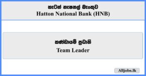Team Leader - Hatton National Bank (HNB)