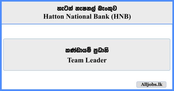 Team Leader - Hatton National Bank (HNB)