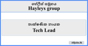 Tech Lead - Hayleys Group