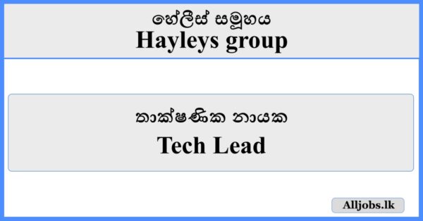 Tech Lead - Hayleys Group