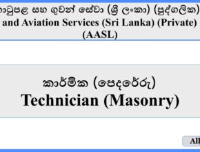 Technician (Masonry) - Airport and Aviation Services