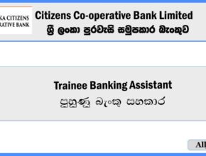 Trainee-Banking-Assistant-Sri-Lanka-Citizens-Co-operative-Bank-Limited-Vacancies-2024-alljobs.lk