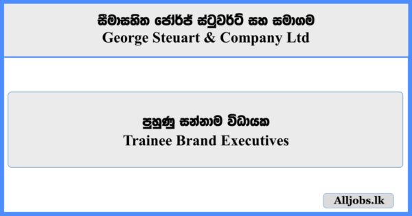 Trainee Brand Executives - George Steuart & Company Ltd