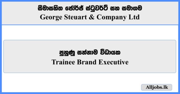 Trainee Brand Executives - George Steuart & Company Ltd