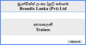 Trainee - Brandix Lanka (Pvt) Ltd