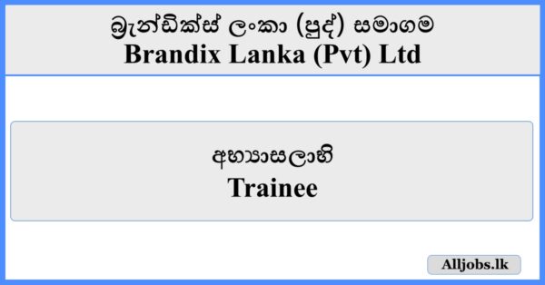 Trainee - Brandix Lanka (Pvt) Ltd