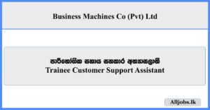 Trainee Customer Support Assistant - Business Machines Co (Pvt) Ltd
