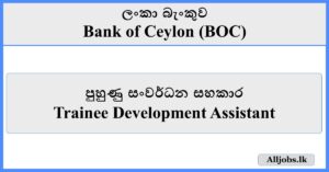 Trainee Development Assistant - Bank of Ceylon (BOC)