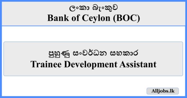 Trainee Development Assistant - Bank of Ceylon (BOC)