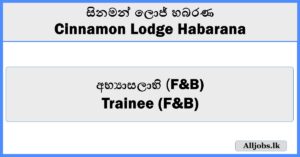 Trainee (F&B) - Cinnamon Lodge Habarana