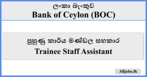 Trainee Staff Assistant - Bank of Ceylon (BOC)