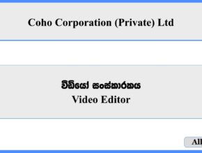  Video Editor - Coho Corporation (Private) Ltd