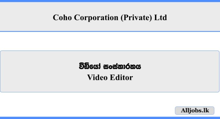  Video Editor - Coho Corporation (Private) Ltd