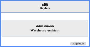 Warehouse Assistants - Bayleee