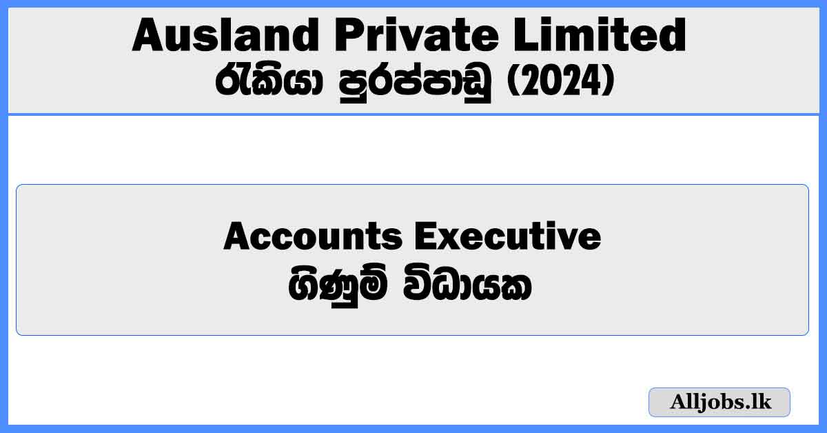 accounts-executive-ausland-private-limited-job-vacancies-2024