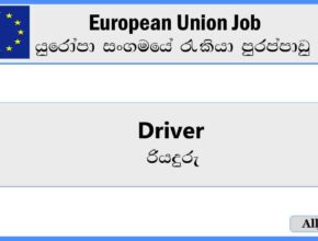 driver-european-union-job-vacancies-2024-alljobs.lk_