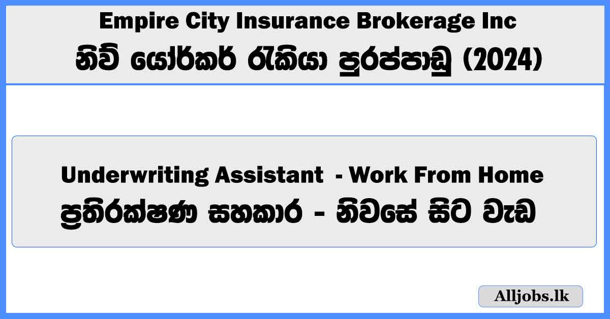underwriting-assistant-empire-city-insurance-brokerage-inc-work-from-home-job-vacancies-2024